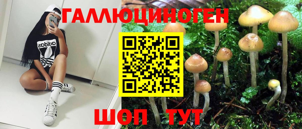 Ишим  Галлюциногенные грибы прущие грибы  Псилоцибиновые грибы GOLDEN TEACHER  Вход с VPN 