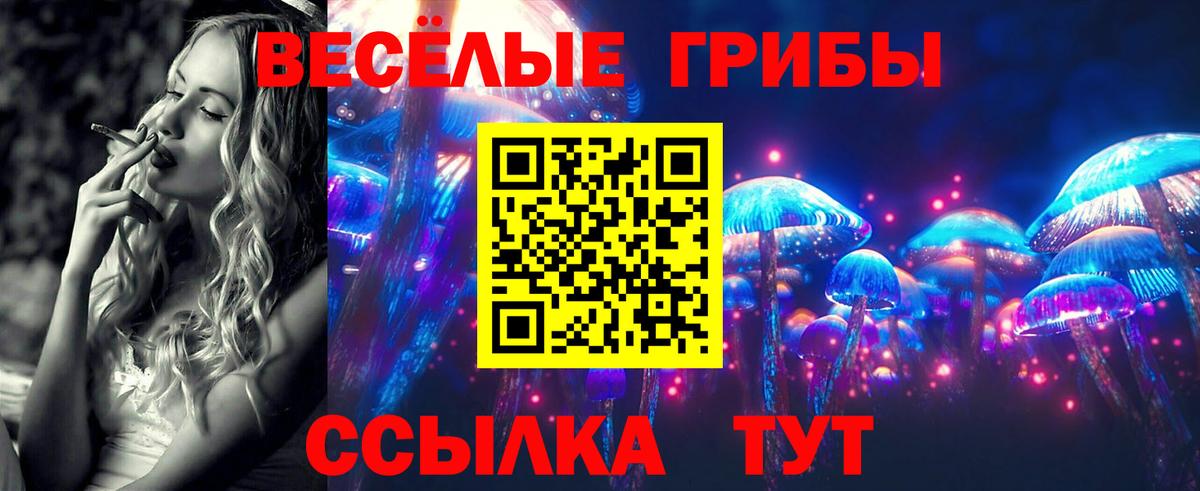 Галлюциногенные грибы прущие грибы Ишим